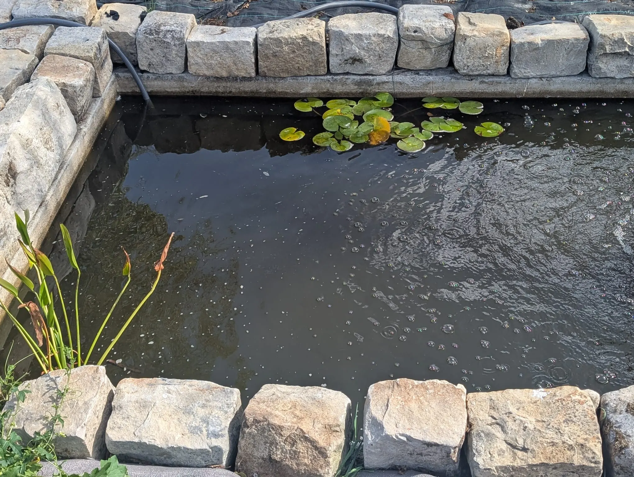 Le bassin en pierre du jardin avec ses nénuphars et son eau en mouvement