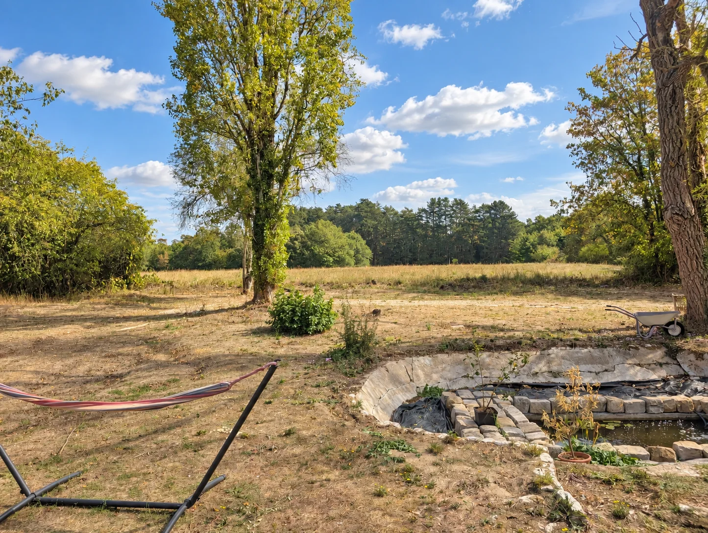 Vue dégagée sur la prairie, les grands arbres et le bassin du jardin
